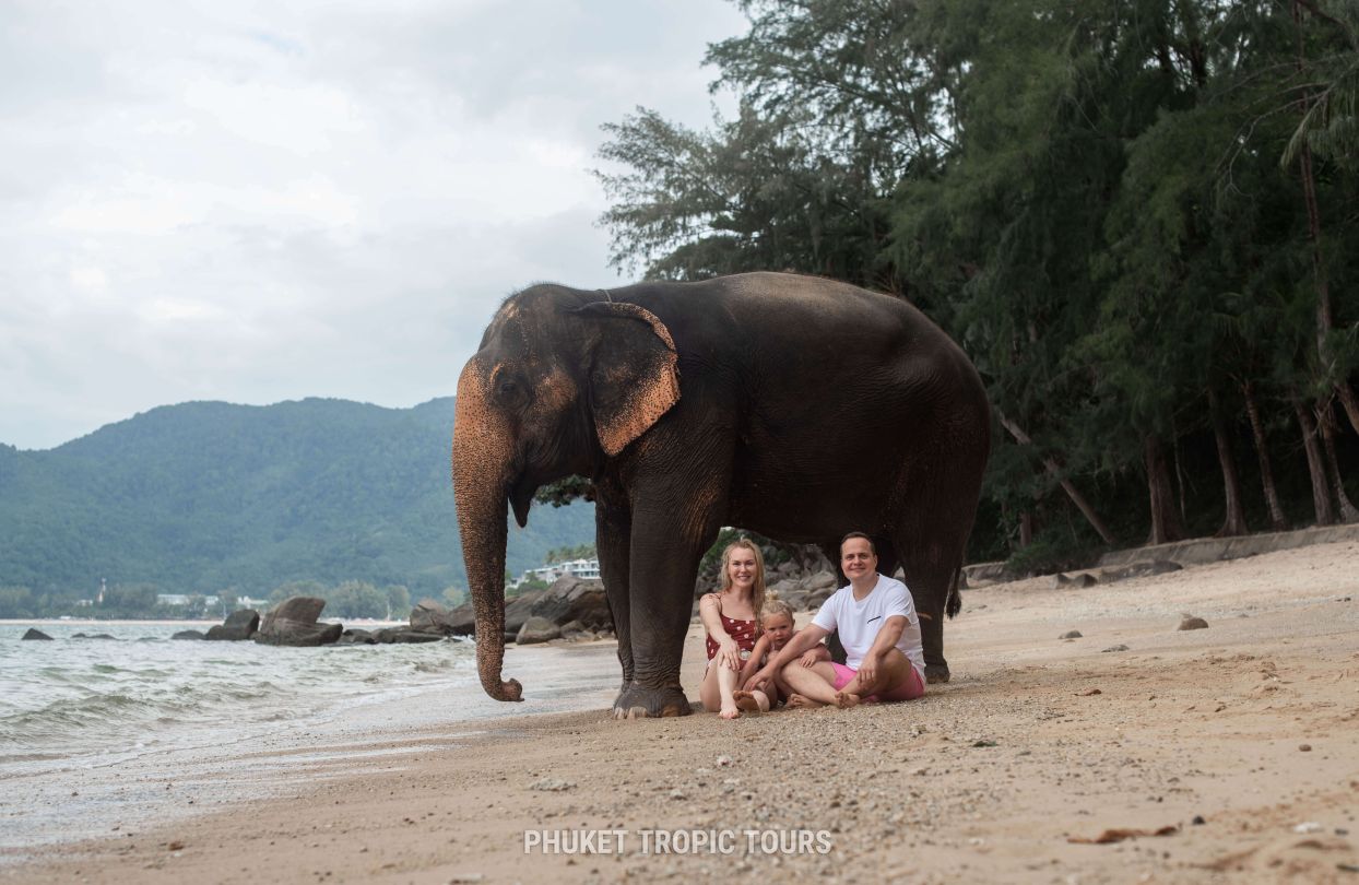 🐘 Elephant Tours in Phuket: A Responsible Guide - photo 2