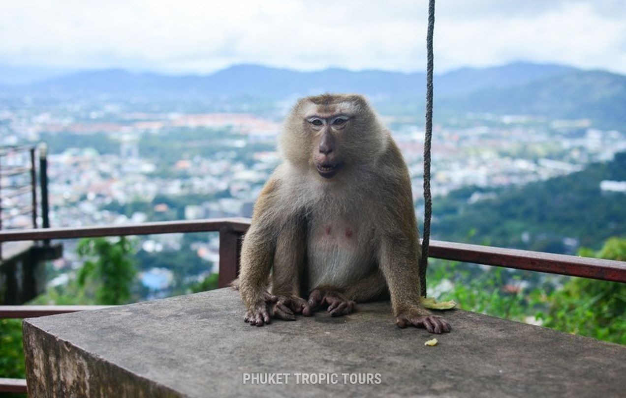 Khao Rang Viewpoint - photo 5