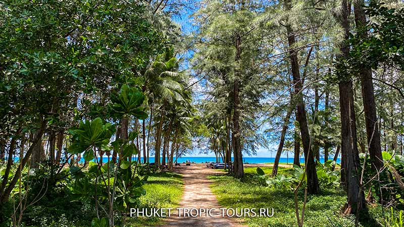 Bang Tao Beach (Phuket) - Photo 3