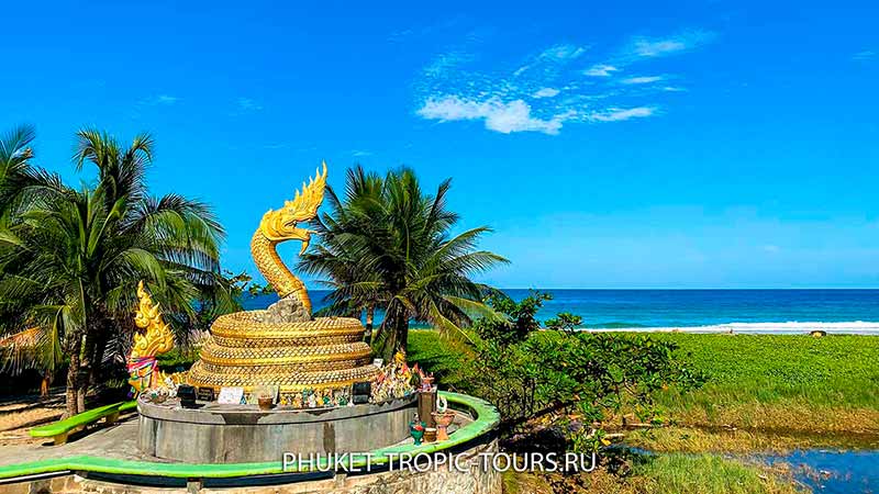 Karon Beach in Phuket - Photo 4 Kite