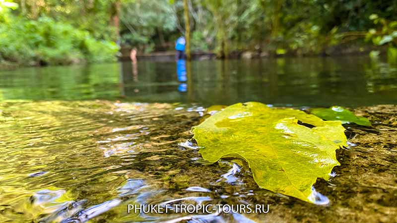 Ao Yon Waterfall (Panwa) in Phuket - Photo 4