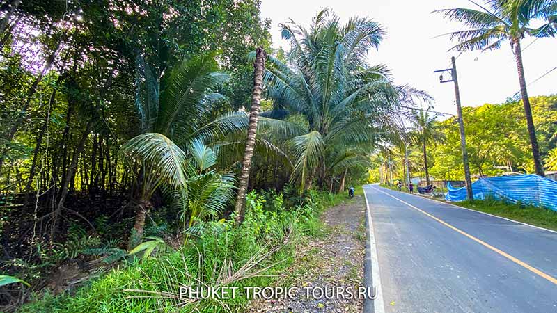 Ao Yon Waterfall (Panwa) in Phuket - Photo 7