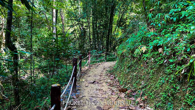 Ton Prai Waterfall in Phuket - Photo 9