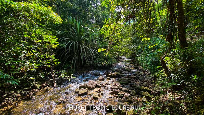 Ton Prai Waterfall in Phuket - Photo 10