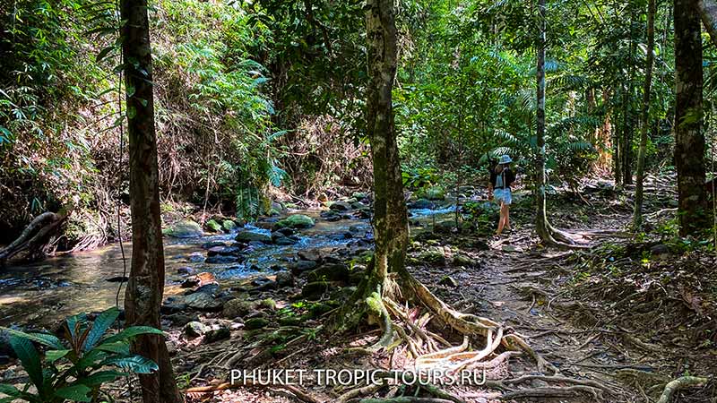 Ton Prai Waterfall in Phuket - Photo 11