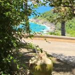 Review photo Yulia №3