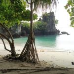 Review photo Olga №1