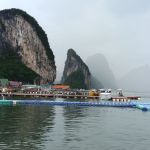 Review photo Olga №3