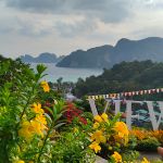 Review photo Elena №2