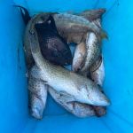 Review photo Konstantin №3