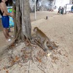 Review photo Olga and Vadim №2