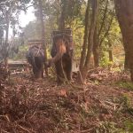 Review photo Alexander №3