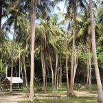 Review photo Ivan №2