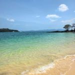 Review photo Ekaterina №2