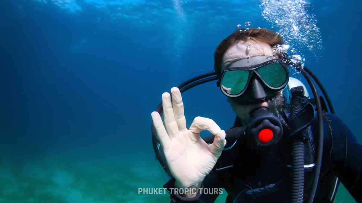 diving tour from phuket