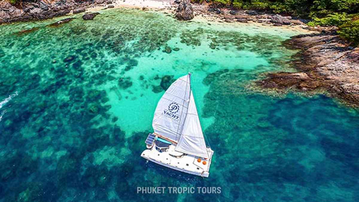 Sailing Catamaran "P Yacht" Sailing Catamaran "P Yacht"