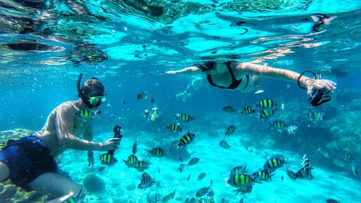 Tropic Tree Maldives снорклинг